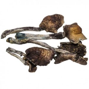 Buy Blue Meanies online