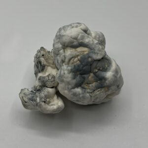 Meringue Mushrooms