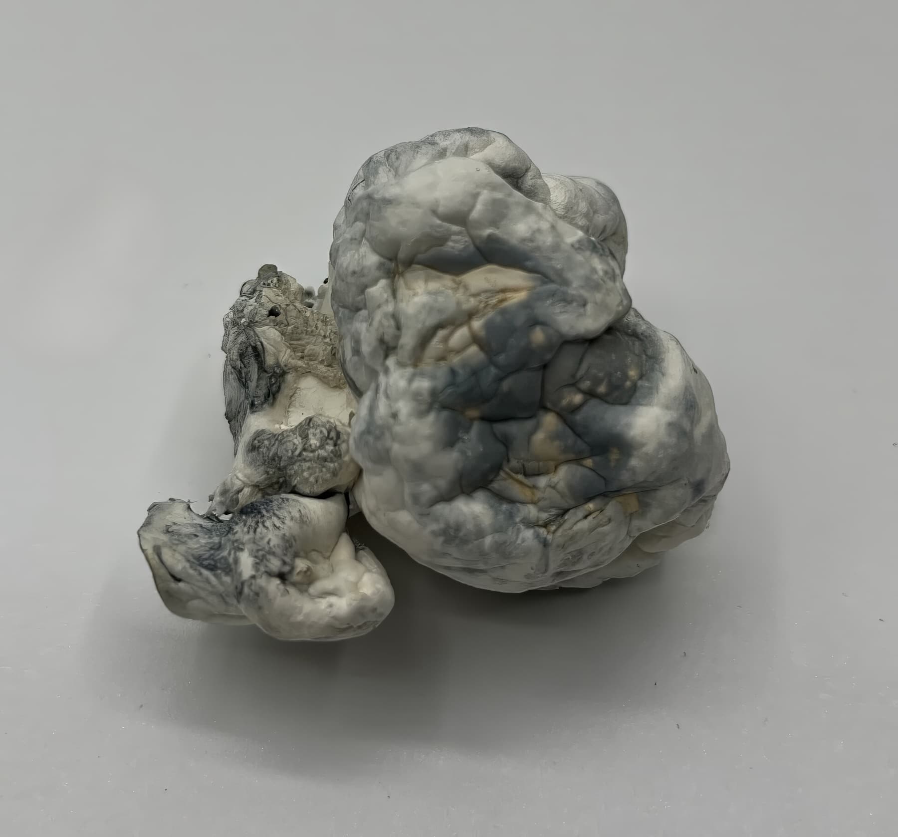 Meringue Mushrooms
